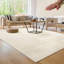 Fernald Uniform Color Shag Area Rug-973625107