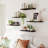 Riek 5 Piece Floating Shelf-847670758-826149873