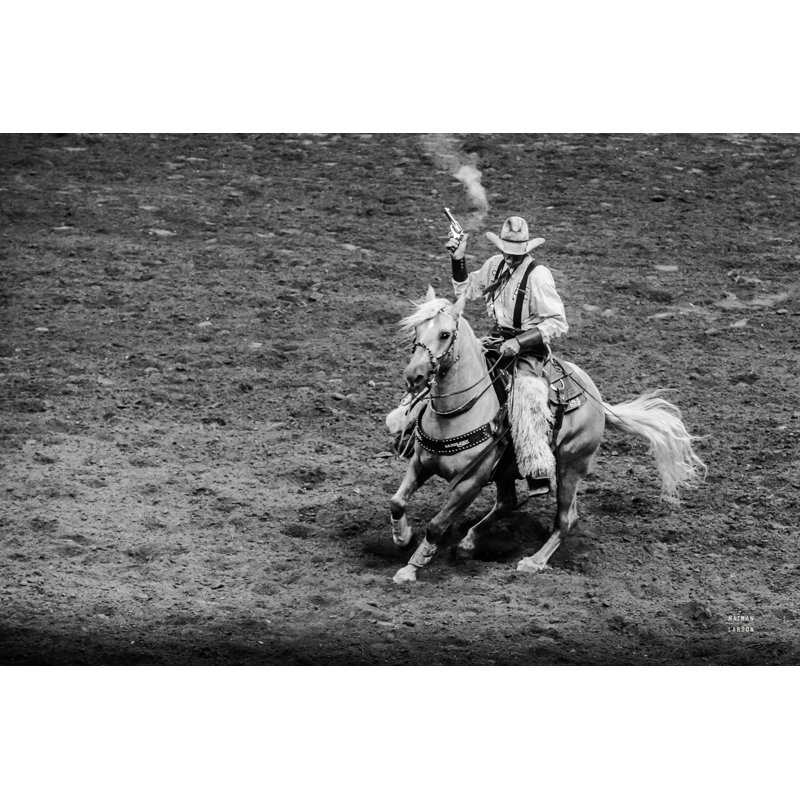 " Rodeo I ", 20" H x 30" W  