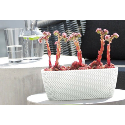 Felicisima Pot Planter