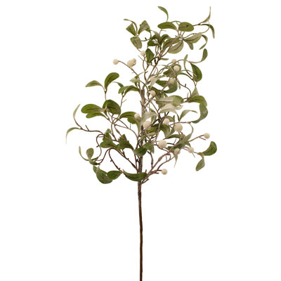 Berry Arrangement