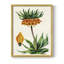 Reproduction encadrée florale antique - Figurine VII-1602193400