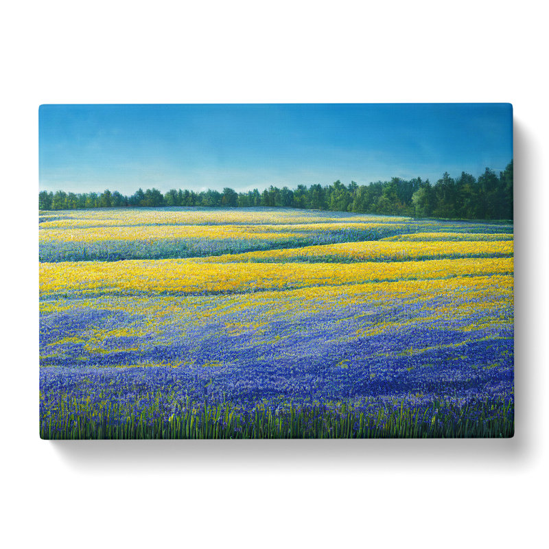 Timeless Bluebell Field - Wrapped Canvas, 40cm H x 60cm W x 3cm D