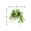 Budding Hydrangea Arrangement In Rippled Vase With Tradescantia And Fern