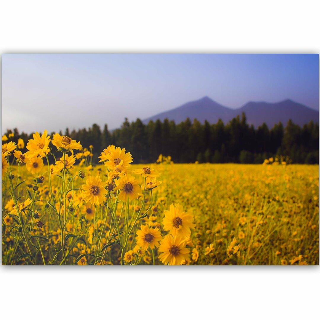 Leinwandbild Wild Yellow Flower