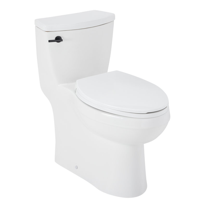 Brinstead One-Piece Elongated Skirted Toilet - Matte Black Handle, Matte Black