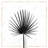 Cabbage palm leaf with lines - 32"x32" art on canvas