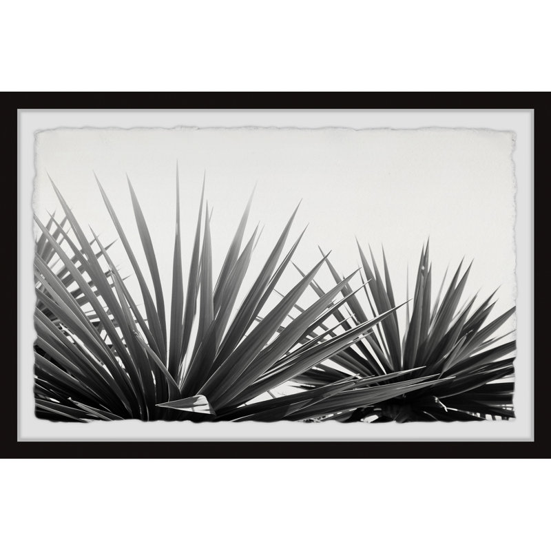 Pointed Leaves - Single Picture Frame Print, 41cm H x 61cm W x 4cm D