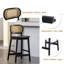 Aliysha Upholstered Counter Stool-1063969371