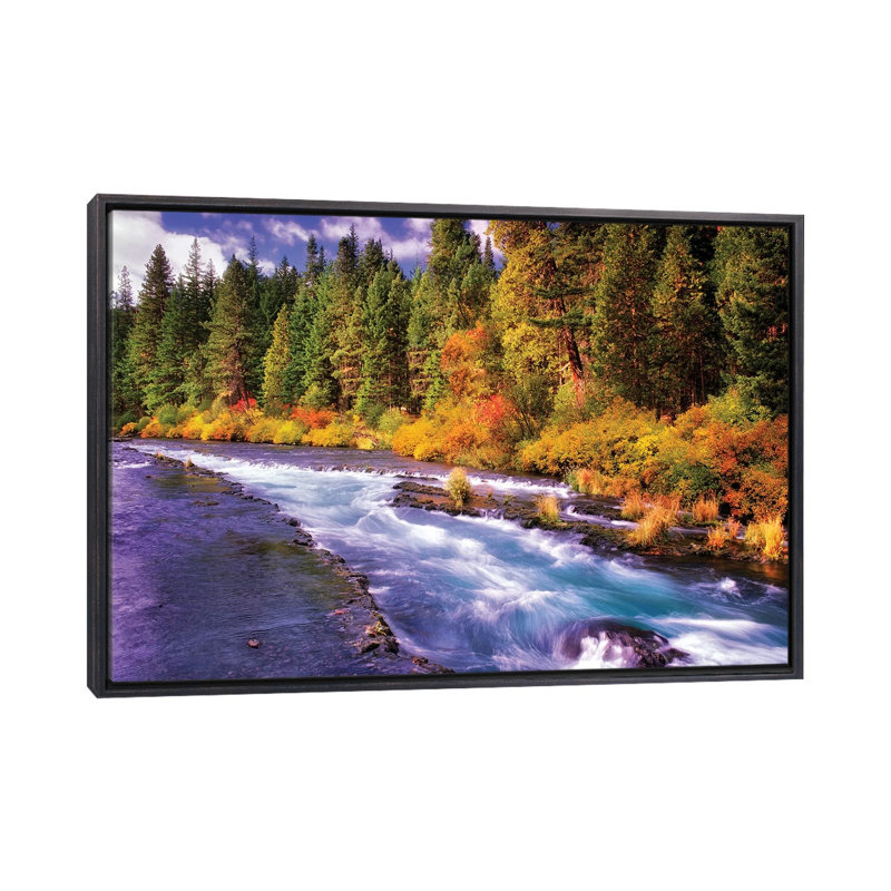 «Fall Stream», reproduction de photo encadrée, H 26 po x l 40 po x 1,5 po, Cadre noir vieilli