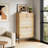 2-Door Shoe Cabinet with Drawer and Adjustable Shelf