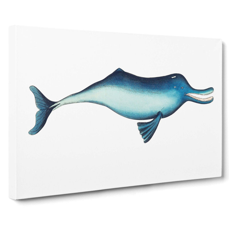 River Dolphin by George Shaw - Wrapped Canvas Painting, 40cm H x 60cm W x 3cm D