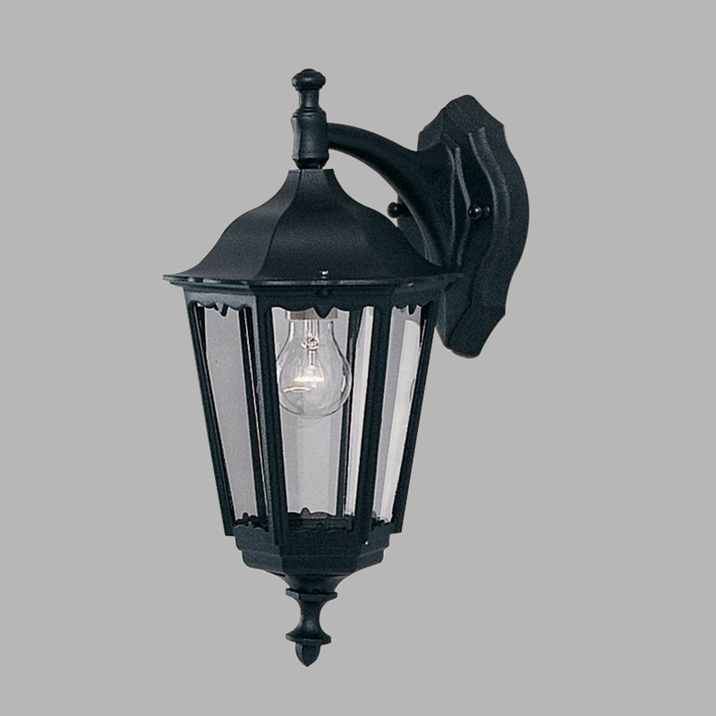 Alyson 46cm H Outdoor Wall Lantern