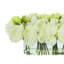 Peonies Arranged in a Glass Vase-1218887324