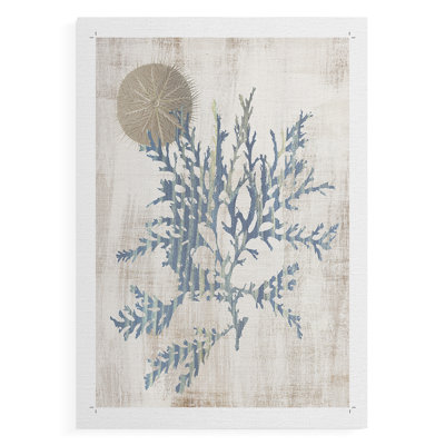 Kelp IV -Canvas Print Only - NOT FRAMED