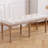 Gajijens Velvet Upholstered Bench