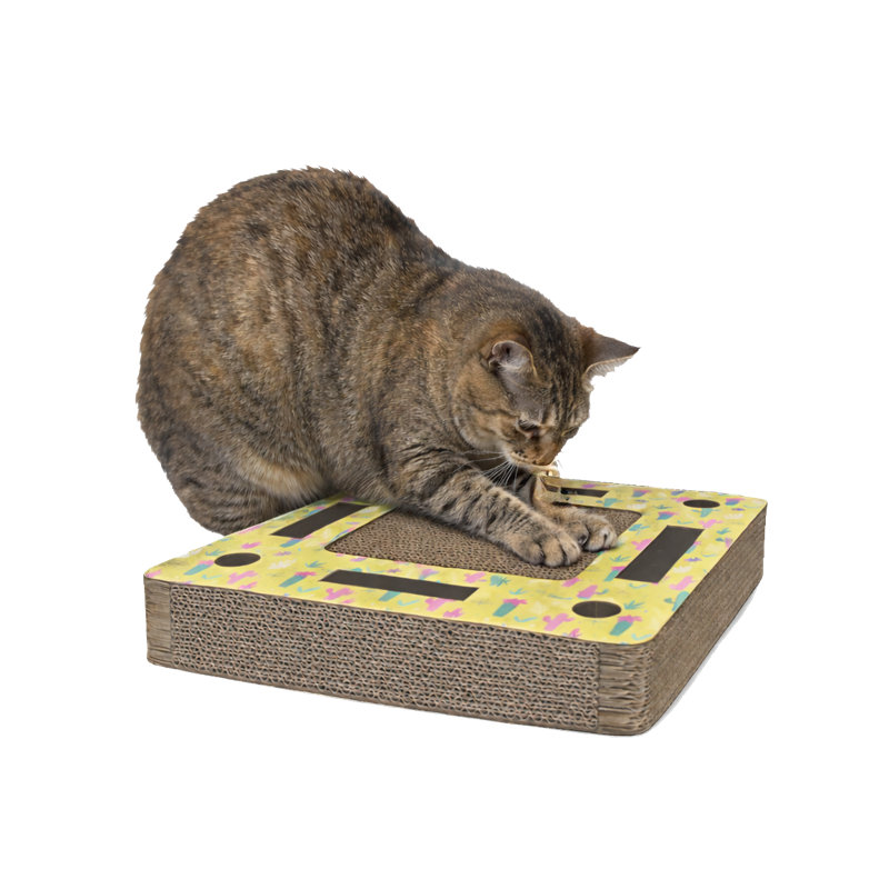 Pampurred Paws Square Track Maze