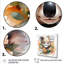 Art mural Koala-1272168988-1272168961
