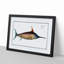 Swordfish - Picture Frame Art Prints-55616843-55616844