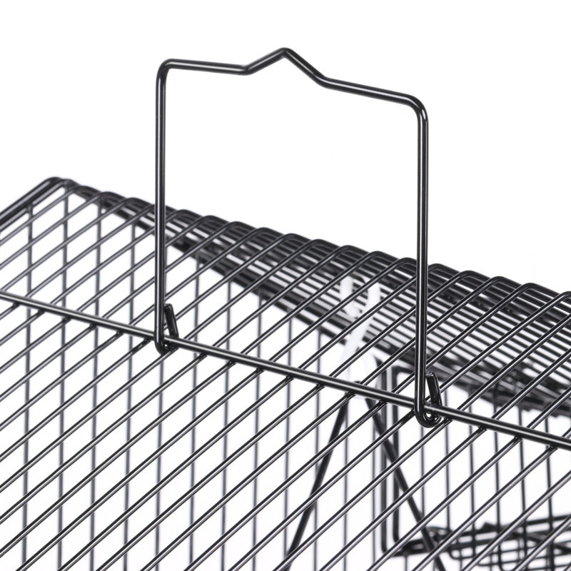Iron Pointed Top Floor Bird Cage with Perch, Black