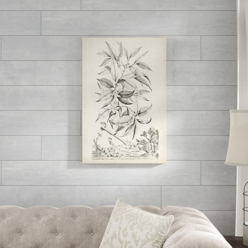 «Scenic Botanical IV», impression sur toile, H 30 po x l 20 po