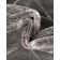 Latitude Run® Checks Novica Rug Gray and Silver