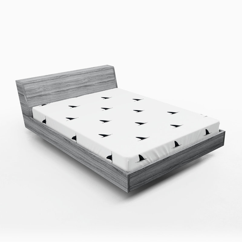 Ambesonne Black White Fitted Sheet 2-Pack Wild Shark Fish White Black, Full Fitted Sheet