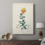 Traditional Botanical III - Gallery Cavas-860032108