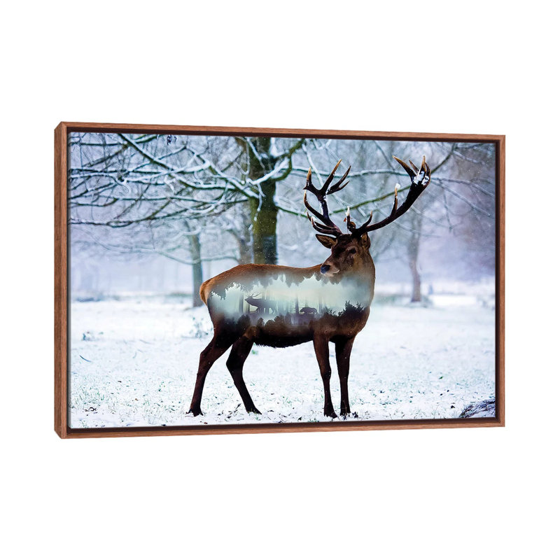Winter Deer I by Paul Haag - Print on Canvas, 66.04 cm H x 45.72 cm W, Classic Brown Wood Framed