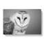 Barn Owl in Abstract - Wrapped Canvas-55315534