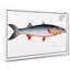 Sea-Pike Fish by M.E. Bloch - Wrapped Canvas-55323437