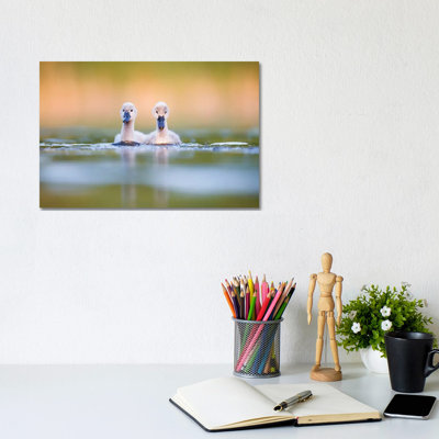 Brothers by Mateusz Piesiak - Wrapped Canvas Print