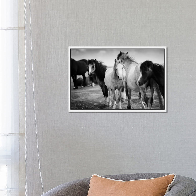 Black And White Horses - Print on Canvas, 45.72cm H x 66.04cm W x 3.81cm D, White Floater Framed