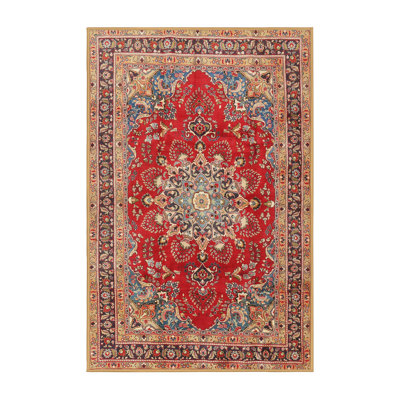 Janya Oriental Indoor Rug