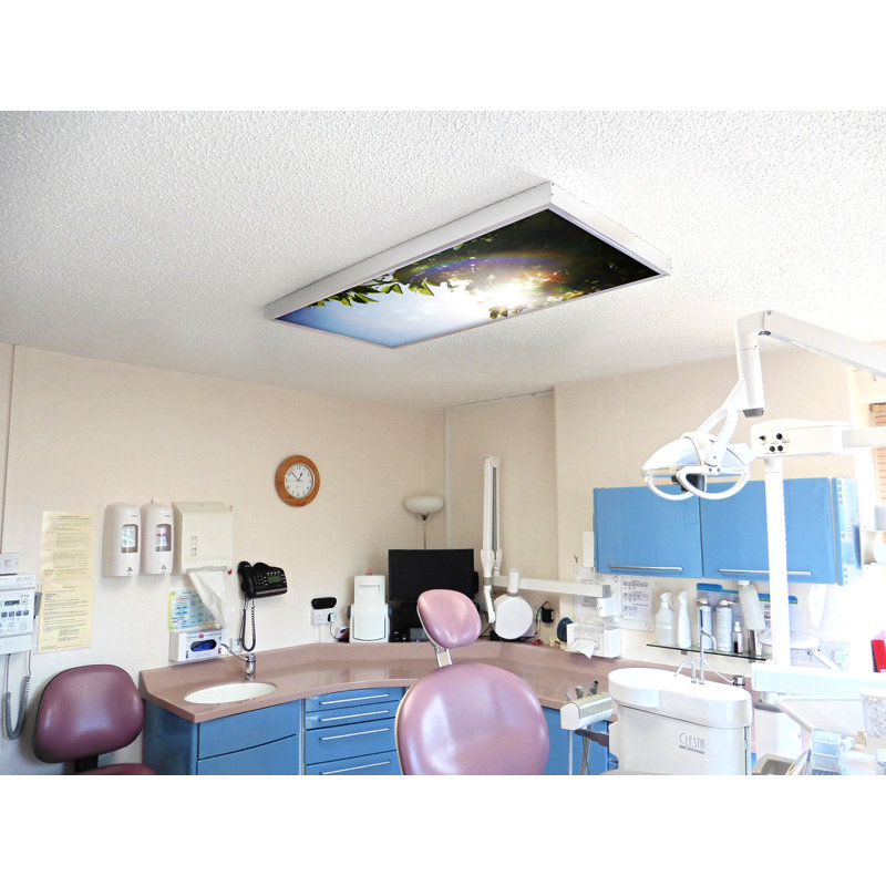 Tree Classroom Fluorescent Light Covers for Ceiling Lights - For 2x4 Light Fixture - by Octo Lights