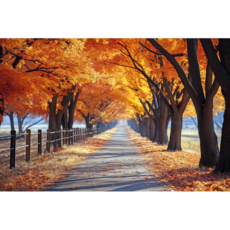 Art mural sur toile Golden Canopy Country Lane, H 12 po x l 16 po