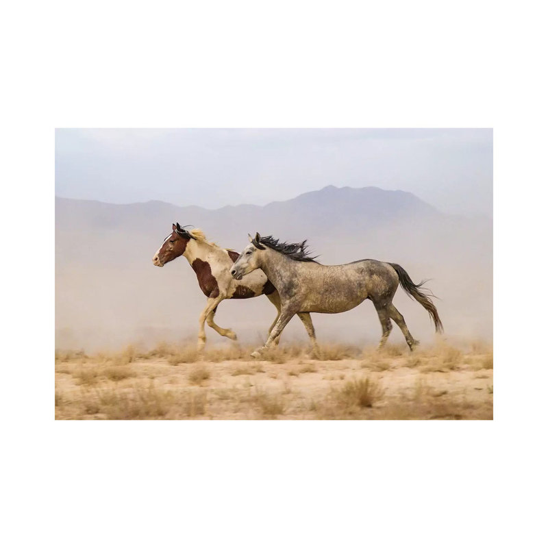 USA, Utah, Tooele County. Wild Horses Running. by Jaynes Gallery - Wrapped Canvas Gallery-Wrapped Canvas Giclée