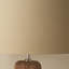 Drum Lamp Shade ( Screw On )-17493109-22691304