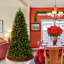 The Holiday Aisle® Jersey Fraser Fir Tree with Clear Lights-835324939
