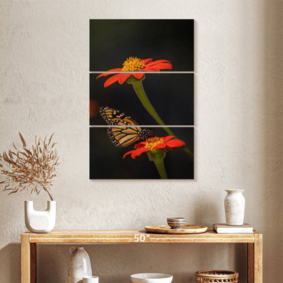 Portrait de papillon I