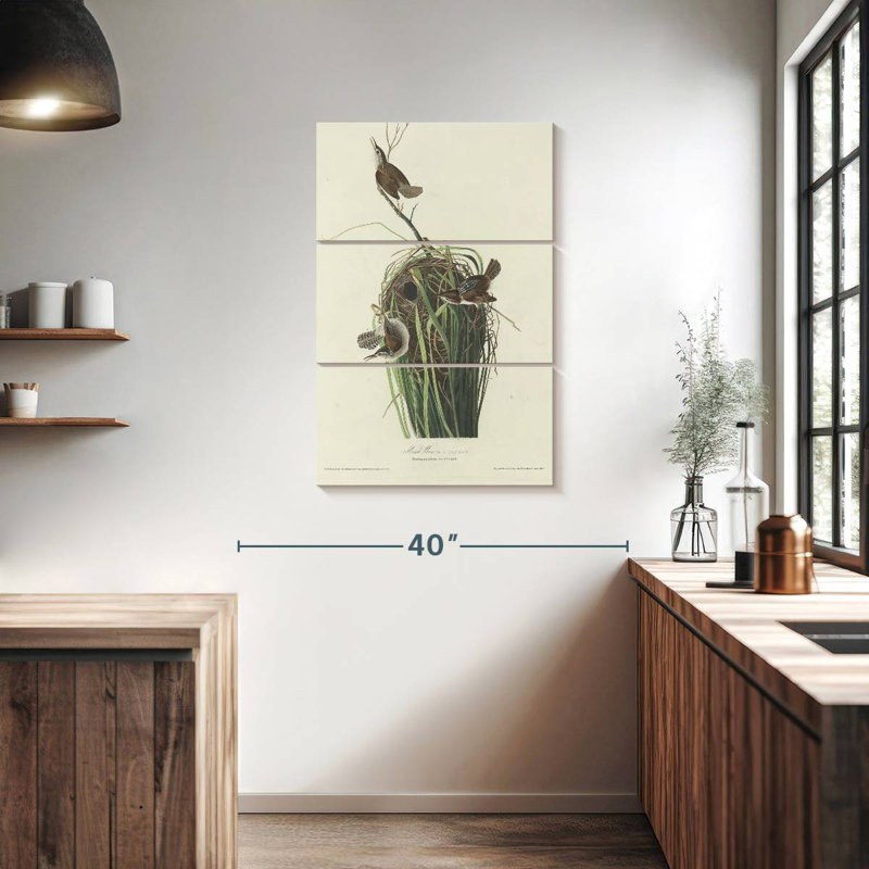 Keiri Marsh Wren, 38" H x 24" W