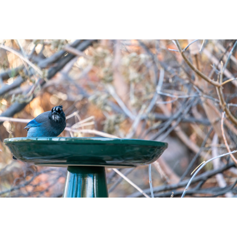 Summer Green Ceramic Pedestal Bird Bath with Locking Top