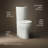 Persuade 1.6 GPF Elongated Two-Piece toilet (Seat Not Included)-36664619