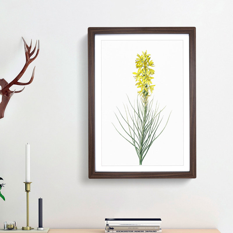 Yellow Asphodel Flowers by Pierre-Joseph Redoute - Picture Frame Painting Print, 65cm H x 48cm W x 2cm D, Walnut Framed