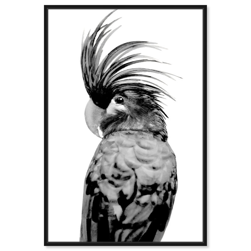 Animaux, cacatoès - Impression sur toile, Toile avec cadre noir, H 30 po x l 20 po