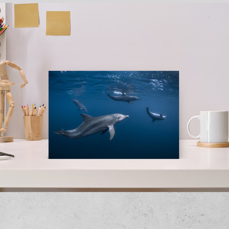 Dolphins In Deep Blue Contemporary Dolphin Wall Art Print 1 Piece Wrapped Canvas Wall Art, 30.48cm H x 45.72cm W