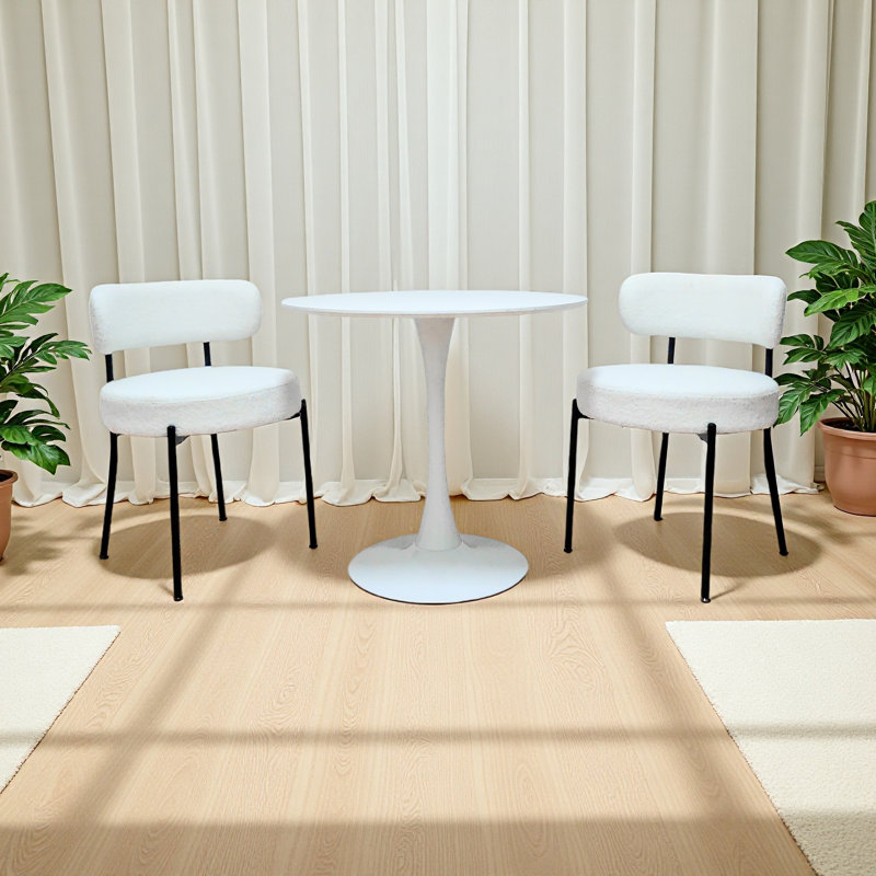 Ensemble de 2 chaises de salle à manger, chaises de salle à manger de style moderne Mid-Century