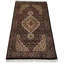 Pilade Oriental Area Rug in Black