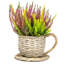 Paullina Statue Planter
