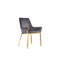     Ensemble de 2 fauteuils de salle à manger rembourrés capitonnés Pangea Home Hudson-33064610-33064611